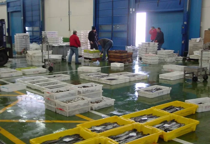 agroalimentario — Durasil (26 de 36)