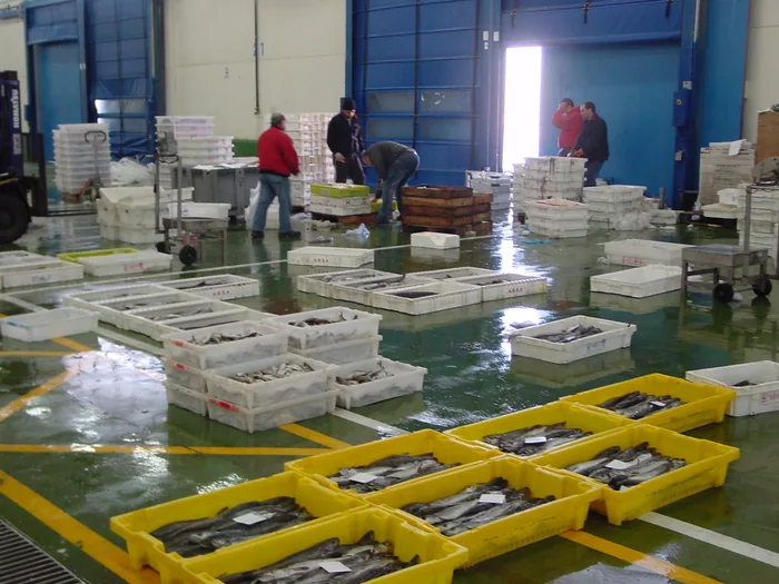 agroalimentario — Durasil (32 de 36)