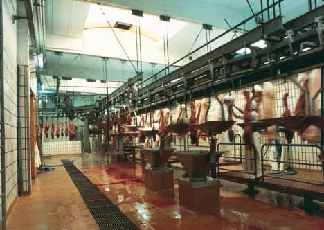 agroalimentario — Durasil (2 de 36)