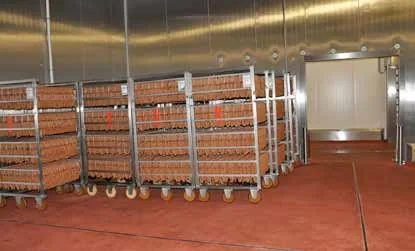 agroalimentario — Durasil (17 de 36)