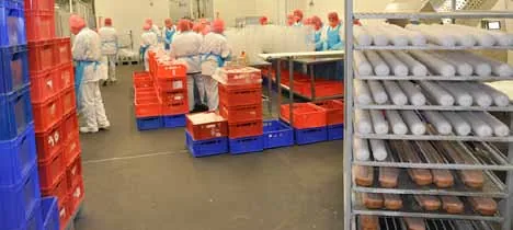agroalimentario — Durasil (21 de 36)