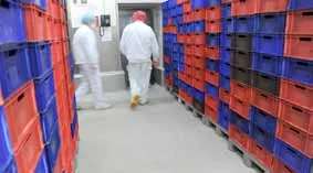agroalimentario — Durasil (11 de 36)