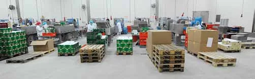 agroalimentario — Durasil (13 de 36)