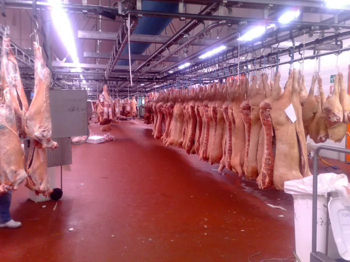 agroalimentario — Durasil (12 de 36)